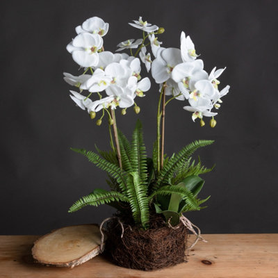 Large White Orchid & Fern Garden In RootballRealistic Artificial Plant from B&Q