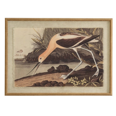 Flora & Fauna Avocet On Linen Beaded Frame Botanical Art from B&Q