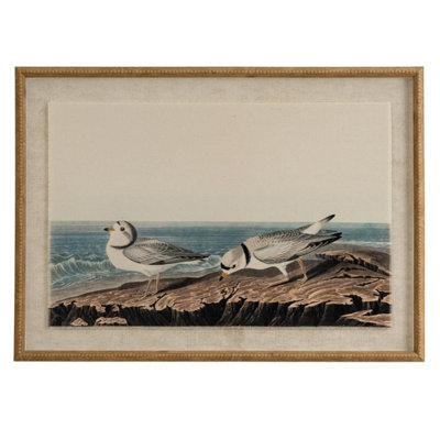 Flora & Fauna Plovers On Linen Wall Art With Beaded Frame from B&Q