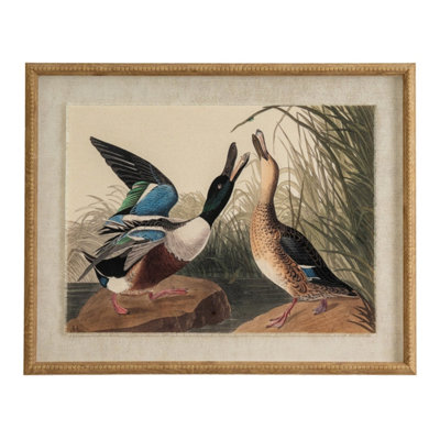 Flora & Fauna Mallard On Linen With Beaded Frame Artwork from B&Q