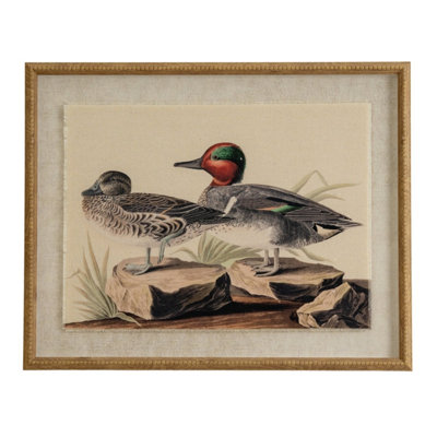 Flora & Fauna Teal Wall Art On Linen With Beaded Frame from B&Q