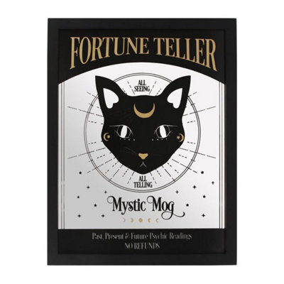 Mystic Mog Mirrored Wall Hanging With Black Cat & Fortune Teller Text from B&Q