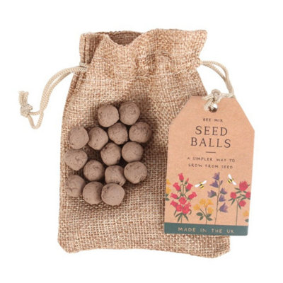 24 Garden Seed BallsWildflower Grow Kit For Gardens & Gifts from B&Q