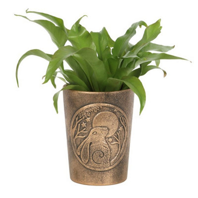 Moon Gazing Hare Bronze Terracotta Plant Pot By Lisa Parker from B&Q