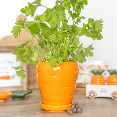 Carrot-Shaped Plant Pot With Parsley Seed BallsGrow Fresh Herbs from B&Q