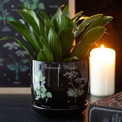 Poisonous Plants Ceramic PotDark Elegant Indoor Decor from B&Q