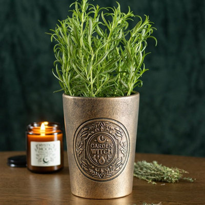 Garden Witch Bronze Effect Terracotta Plant Pot For Herbs & Succulents from B&Q