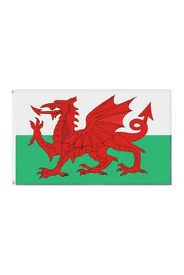 Wales Rugby Flag Bunting Banner With Metal Eyelets 90X150Cm from B&Q