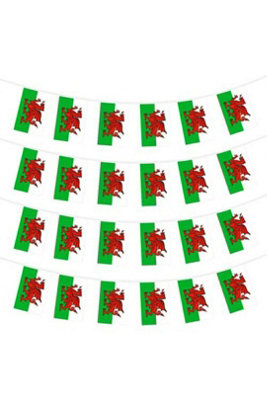 Wales Football Bunting Banner 30 Flags Dragon 12M Polyester from B&Q
