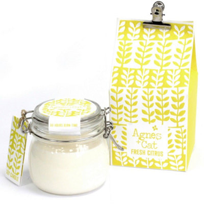Agnes And Cat Kilner Jar Candle Fresh Citrus Zesty from B&Q