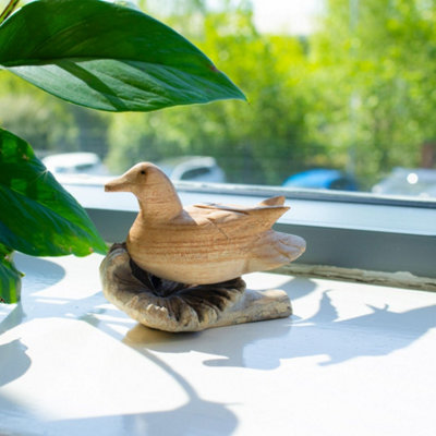  - Wild Duck Resting Wood Carving On Natural Parasite Base