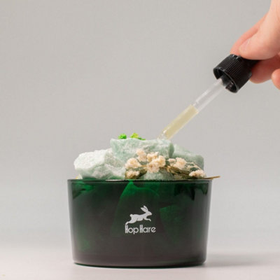 The Magician Diffusing Crystal And Floral Set Aventurine from B&Q