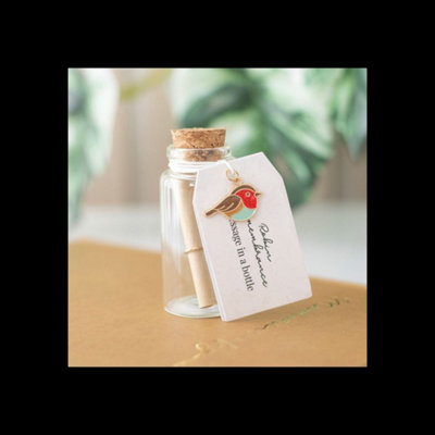 24 Robin Remembrance Messages In Bottles Countertop Display from B&Q