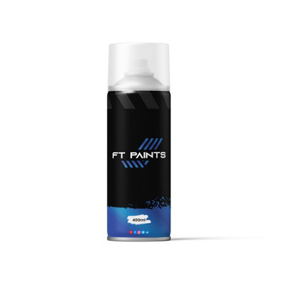  - Ft Paints 400Ml Spray Can Synthetic Paint With Gloss For Steel-Ral 7035-Light Grey