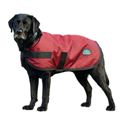 Weatherbeeta Comfitec Clic Waterproof Dog Coat Burgundy (45Cm) from B&Q