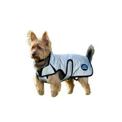 Weatherbeeta Comfitec Reflective Showerproof Dog Coat Silver (60Cm) from B&Q