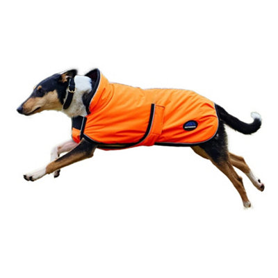 Weatherbeeta Comfitec Deluxe Reflective Showerproof Dog Coat Orange (50Cm) from B&Q