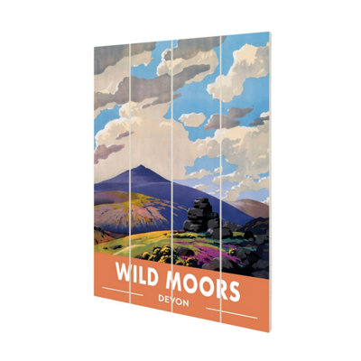 Railway Museum Wild Moors Devon Small Wood Print Multicoloured (59Cm X 40Cm) from B&Q