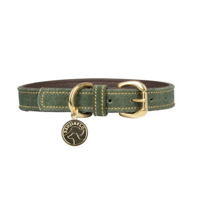 Benji & Flo Noble Suede Dog Collar Green/gold (Xs) from B&Q