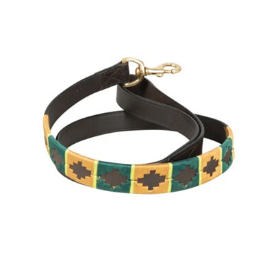 Benji & Flo Sublime Polo Leather Dog Lead Green/gold (115Cm) from B&Q