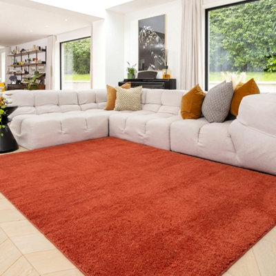 B&Q -  Terracotta Machine Washable Shaggy Soft Area Living Room Rug150 X 80Cm