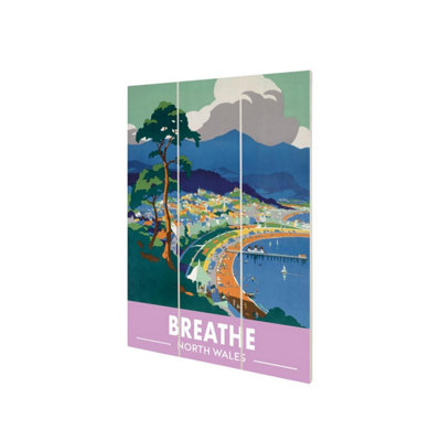 Railway Museum Breathe Snowdonia Micro Wood Print Multicoloured (29.5Cm X 20Cm) from B&Q