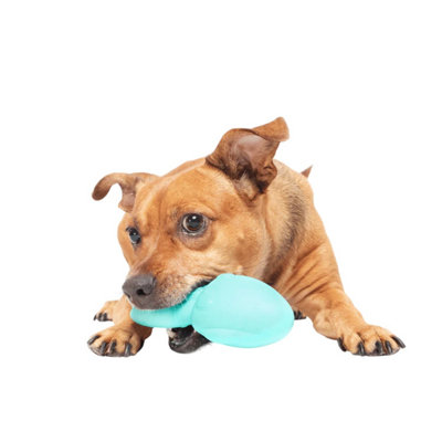 Bark Whiz Squid Dog Chew Toy Green (One Size) from B&Q