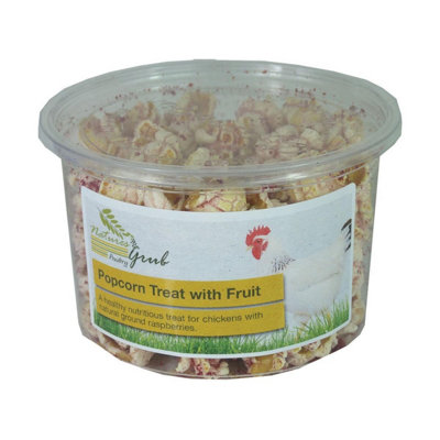 Natures Grub Poultry Popcorn Treat With Fruit May Vary (Pack Of 6) from B&Q