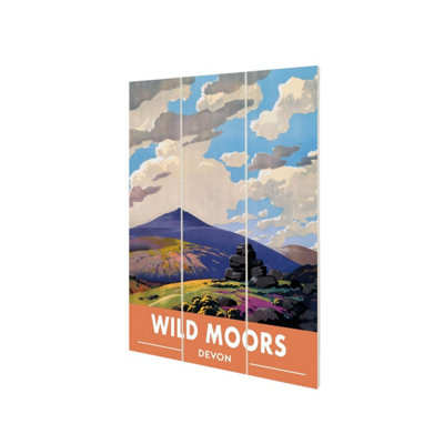 Railway Museum Wild Moors Devon Micro Wood Print Multicoloured (29.5Cm X 20Cm) from B&Q