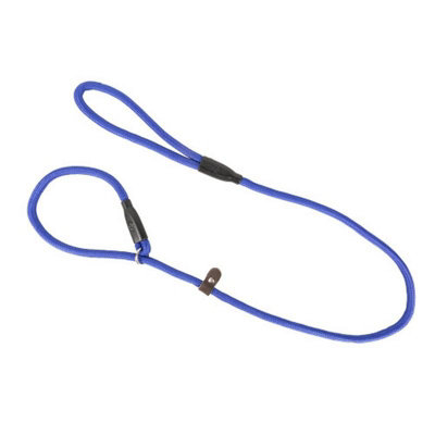 Benji & Flo Clic Dog Slip Lead Royal Blue (One Size) from B&Q