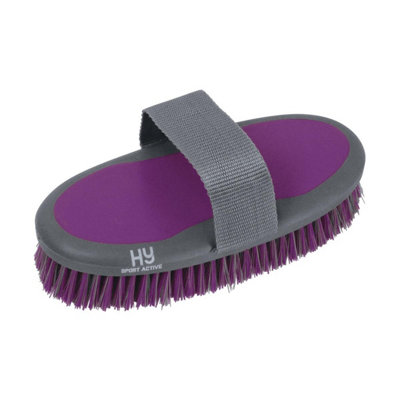 Hyshine Active Groom Sponge Brush Amethyst Purple (One Size) from B&Q