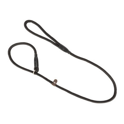 Benji & Flo Clic Dog Slip Lead Black (One Size) from B&Q