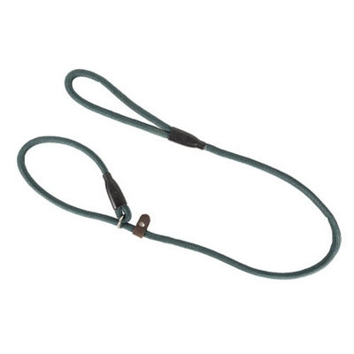 Benji & Flo Clic Dog Slip Lead Dark Green (One Size) from B&Q