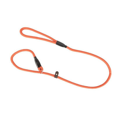 Benji & Flo Clic Dog Slip Lead Red (One Size) from B&Q