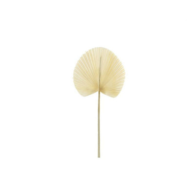 Kdmd Essential Dry Look Bleached Fan Palm 4 Pack - Cream - Image 3