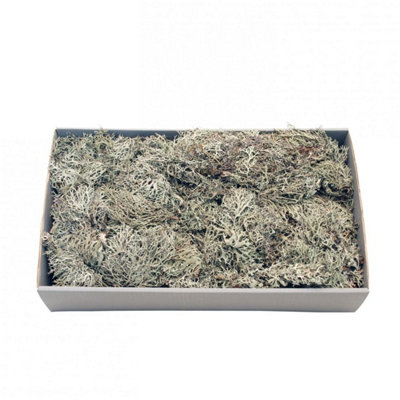 Kdmd Unisex Grey Moss With Tray 500Gr Christmas Ornament - Image 3