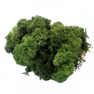 Kdmd Dark Green Reindeer Moss Christmas Ornament - Green - Image 3
