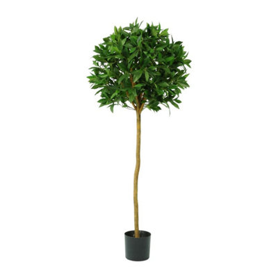 Kdmd Unisex Green Sweet Bay Ball Potted Tree 4Ft - Image 2