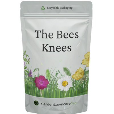 Garden Lawncare Guy The Bees Knees Wildflower Seeds 20G (10M²) from B&Q