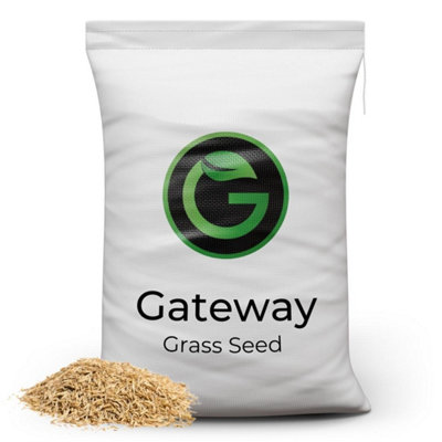 Garden Lawncare Guy Horse Paddock Grass SeedsFast Growing Grass Seed For Repairs On PasturesFields & GatewaysUltra Hard Wearing5KgGarden from B&Q