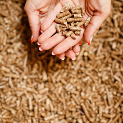 Catvenience Wood Pellet Cat Litter 30 Litre Pine Wood Pellets from B&Q
