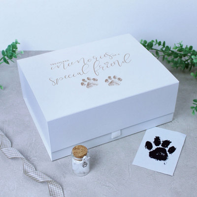 Oh So Precious Treasured Memories Pet Memorial Keepsake Box from B&Q