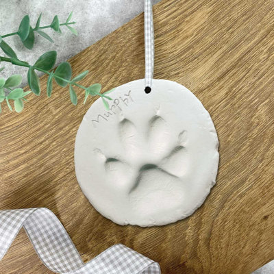 Oh So Precious Clay Pet Paw Impression Moulding Kit from B&Q