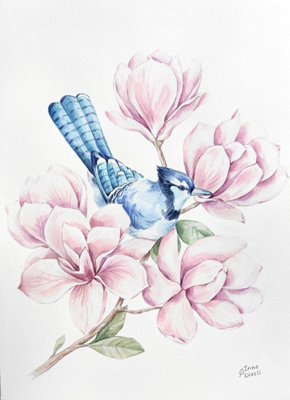 Blue Jay In Magnolia Tree 29.7 X 42 X 0 Cm (11.7 X 16.5 X 0 Inches) from B&Q