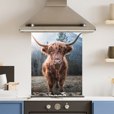 Choose Your Print Premium 60 X 75Cm Highland Cow 6mm Glass Toughened Kitchen SplashbackHeat Resistant Polished Edges from B&Q