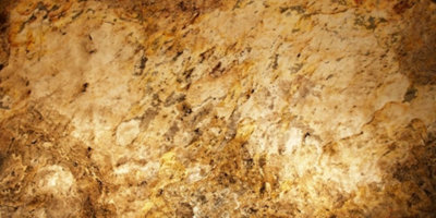  - Translucent Falling Leaves Slate Veneer 122 X 61Cm Sheet