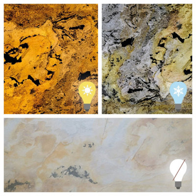  - Translucent Falling Leaves Slate Veneer 30 X 20Cm Sample