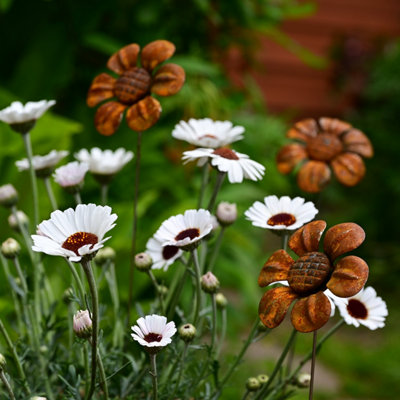 Savage Works Rusty Metal Daisy - One - Image 3