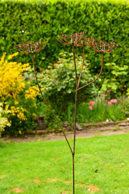 Rackhams Rusty Metal Cow Parsley - Image 3