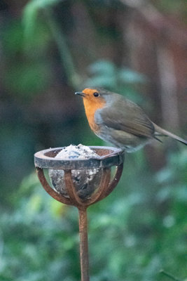 Savage Works Fat Ball Bird Feeder Stake - Image 3